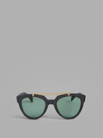 Saturnino Eyewear Tortoise Mars Sunglasses