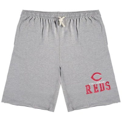 Profile Men's Heathered Gray Cincinnati Reds Big And Tall French Terry Shorts