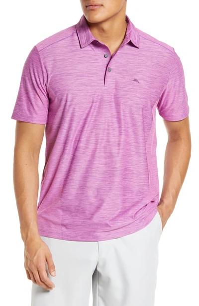 Tommy Bahama Palm Coast Classic Fit Polo In Purple Chordata