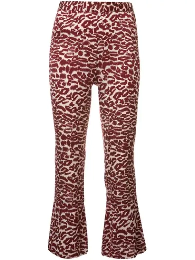 Piamita Printed Cropped Trousers In Red