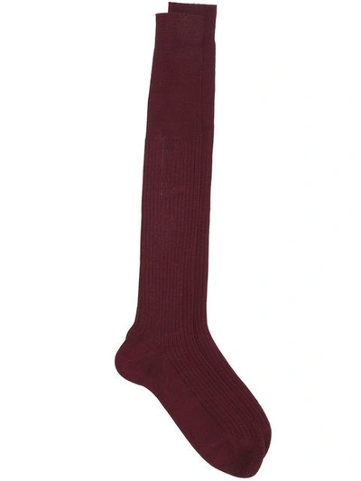 Fashion Clinic Timeless Ribbed Knee-high Socks In Red