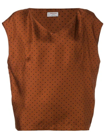 Alberto Biani V-neck Spot Blouse - Brown