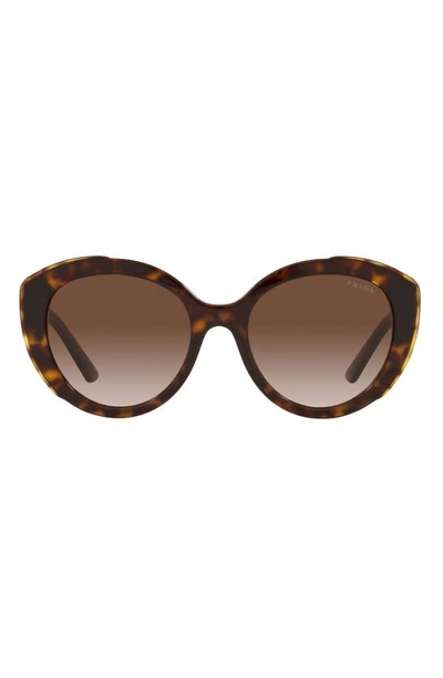 Prada 56mm Cat Eye Sunglasses In Havana/ Brown Gradient