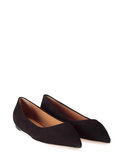 Lerre Suede Pointed Ballet Flat In Nero