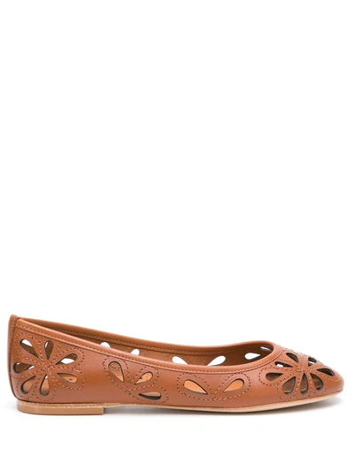 Sarah Chofakian Leather Ballerinas In Brown