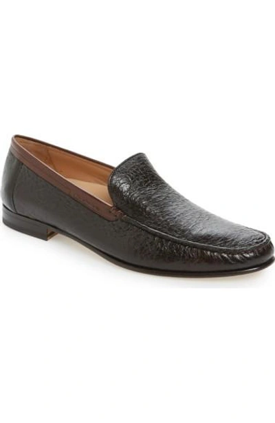 Mezlan Thomson Penny Loafer In Brown Leather