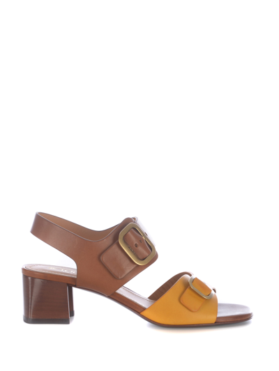 Tod's Sandali Tods In Pelle In Brown/yellow