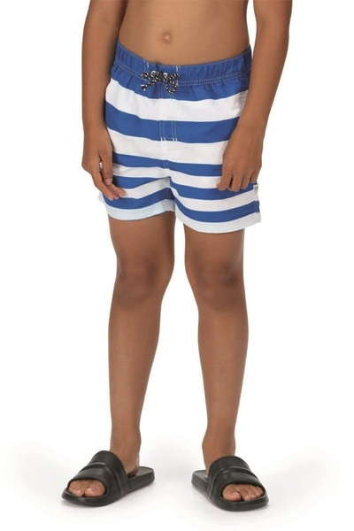 Regatta Boys Skander Ii Striped Swim Shorts In Blue