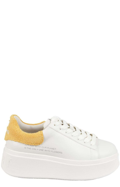 Ash Panelled Low-top Leather Sneakers In Wht Bianco Giallo