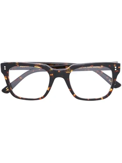 Moscot 'zayde' Glasses In Brown