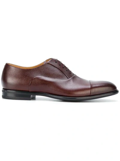 Fabi Oxford Shoes In Brown