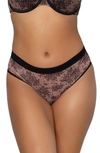 Curvy Couture Sheer Mesh High Cut Briefs In Chantilly