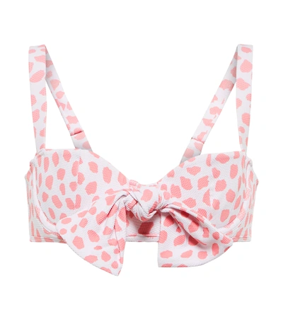 Alexandra Miro Clara Printed Bikini Top In Leo Print Pink White