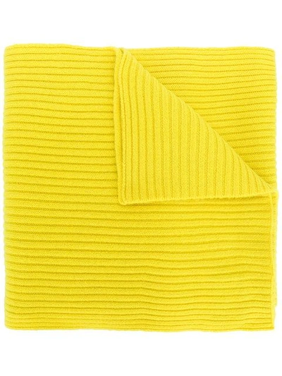 N•peal Short Ribbed Scarf