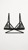 Honeydew Intimates Lucy Elastic & Lace Bra Black