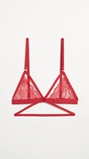 Honeydew Intimates Lucy Elastic & Lace Bra In Lollipop Red