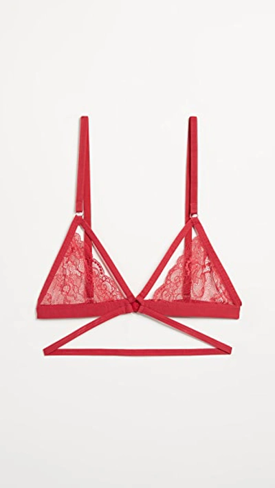 Honeydew Intimates Lucy Elastic & Lace Bra In Lollipop Red