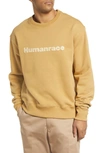 Adidas Originals X Humanrace Cotton Sweatshirt In Golden Beige