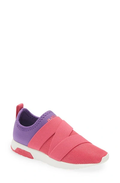 Native Shoes Kids' Phoenix Slip-on Vegan Sneaker In Starfish Purple/ Pink