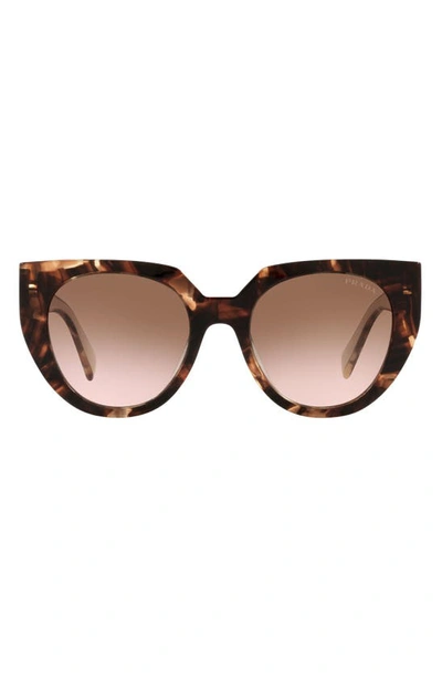 Prada 53mm Gradient Cat Eye Sunglasses In Caramel Tortoise/brown Gr