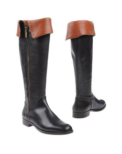 Studio Pollini Boots In Dark Brown