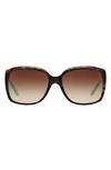 Tiffany & Co Embellished Square Sunglasses In Havana/ Blue/ Brown Gradient