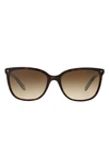 Tiffany & Co 55mm Mirrored Square Sunglasses In Havana/ Blue/ Brown Gradient