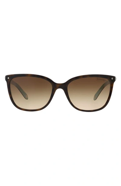 Tiffany & Co 55mm Mirrored Square Sunglasses In Havana/brown