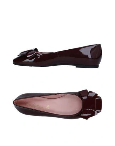 Pretty Ballerinas Ballet Flats In Maroon