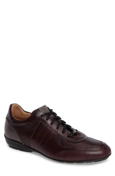 Mezlan Redon Embossed Sneaker In Burgundy/ Grey Leather