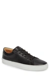 Greats Royale Perforated Low Top Sneaker In Black Perforated Leather