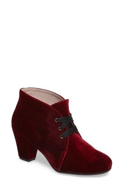 Patricia Green Clair Lace-up Bootie In Burgundy Velvet Fabric