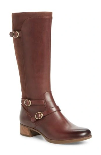 Dansko Lorna Tall Boot In Wine Burnished Nappa Leather