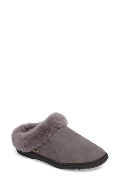 Acorn 'ewe Collar' Genuine Sheepskin Mule Slipper In Ash