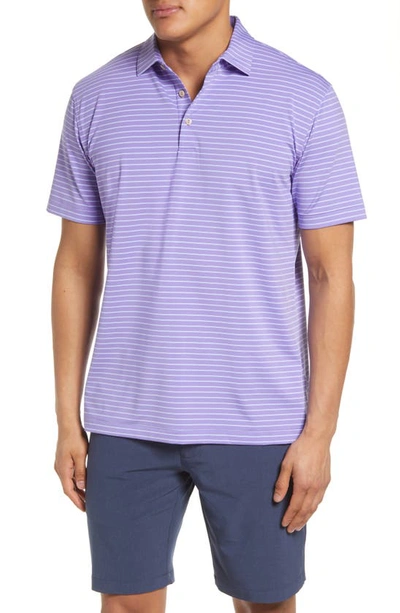 Peter Millar Drum Stripe Performance Polo In Violetta