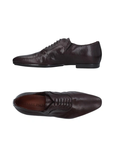 Cesare Paciotti Laced Shoes In Dark Brown