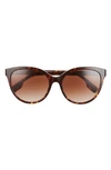 Burberry 55mm Gradient Cat Eye Sunglasses In Dark Havana/ Brown Gradient