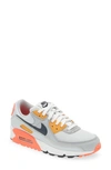 Nike Air Max 90 Sneaker In Platinum/grey/crimson/navy