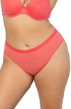 Curvy Couture Sheer Mesh High Cut Briefs In Sun Kissed Coral