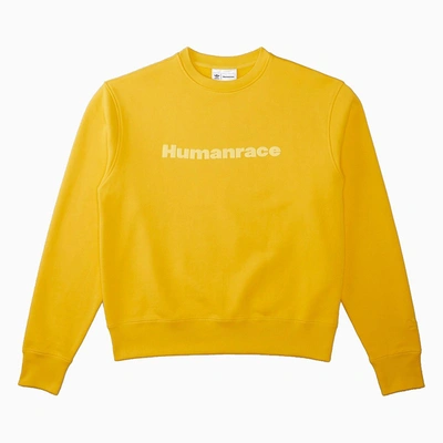 Adidas Originals Yellow Pharrell Williams Humanrace Crewneck Sweatshirt