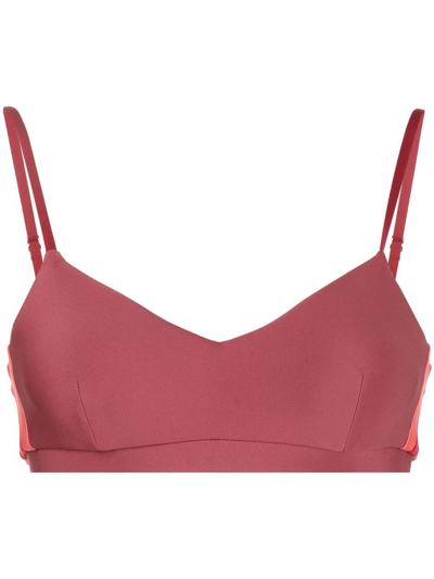 The Upside Delmira Colour-blocked Ballet Bra In Red