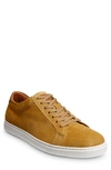 Allen Edmonds Courtside Sneaker In Yellow