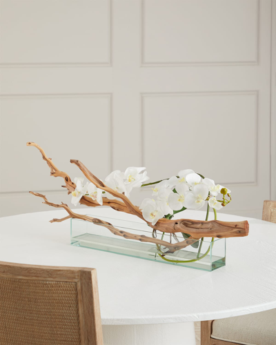 John-richard Collection Sculptured Orchids