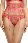 Dita Von Teese Evelina Lace Garter Belt In Blood Orange