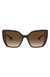 Dolce & Gabbana 55mm Cat Eye Sunglasses In Havana