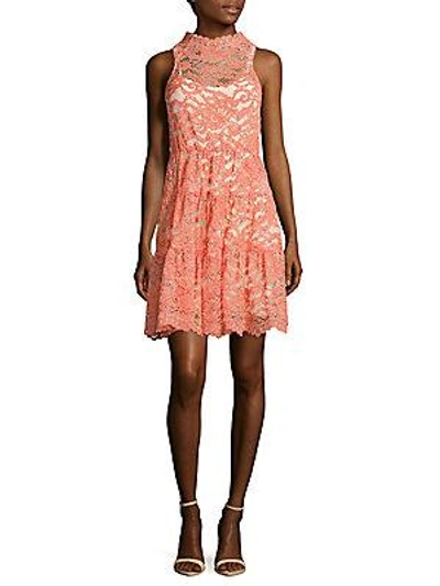 Erin By Erin Fetherston Posie Scalloped Lace Dress In Coral