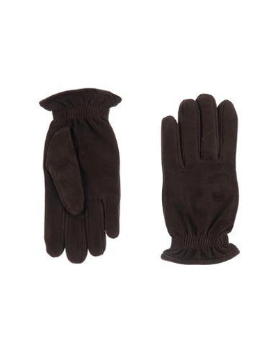 Orciani Gloves In Dark Brown