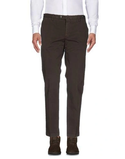 Pt01 Casual Pants In Dark Brown