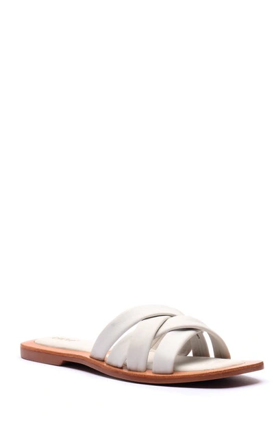 Crevo nordstrom rack deals