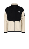 The North Face 'phlego Denali' Fleece Jacket In Gravel